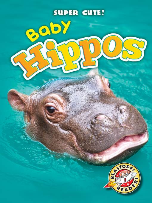 Baby Hippos