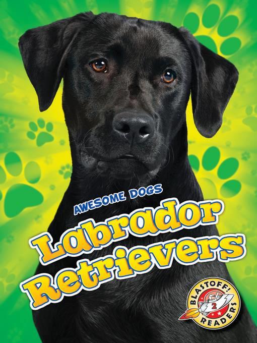Labrador Retrievers