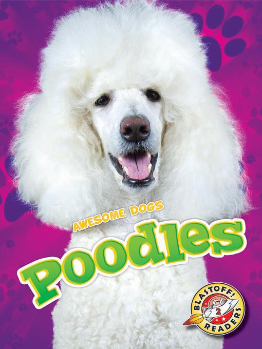 Poodles