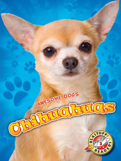 Chihuahuas