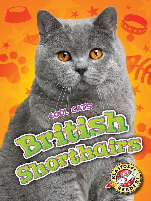 British Shorthairs