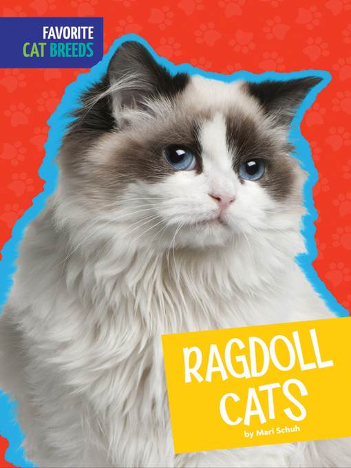 Ragdoll Cats