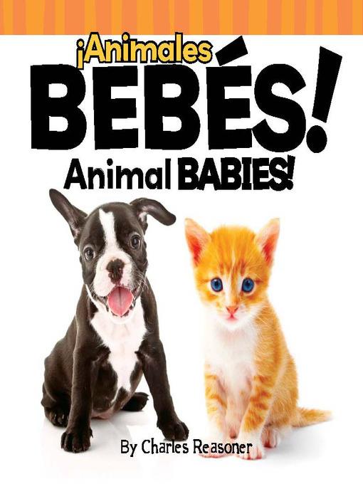 ¡Animales bebés! (Animal Babies)