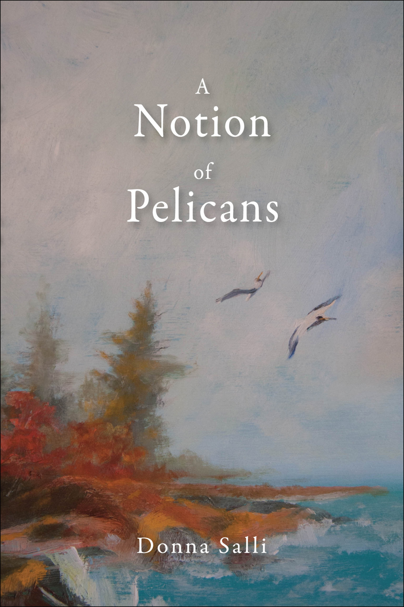 A Notion of Pelicans