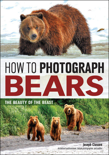 How to Photograph Bears