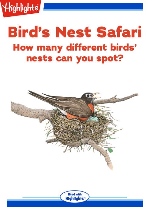 Bird's Nest Safari