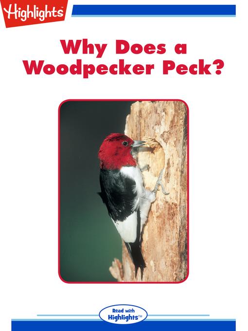 Why Does a Woodpecker Peck?