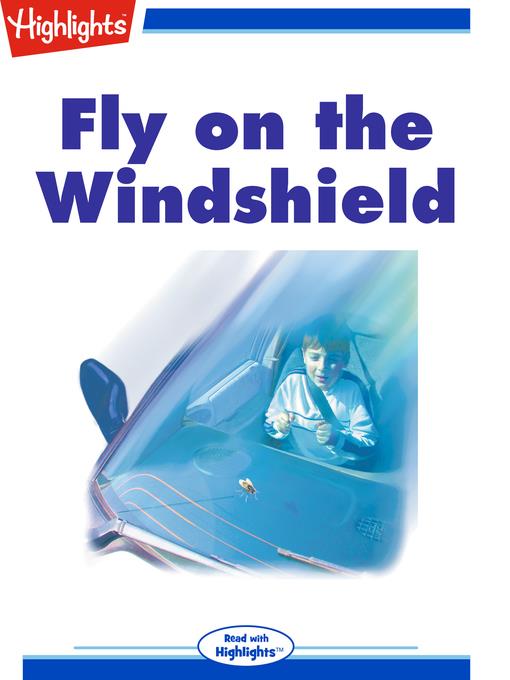 Fly on the Windshield