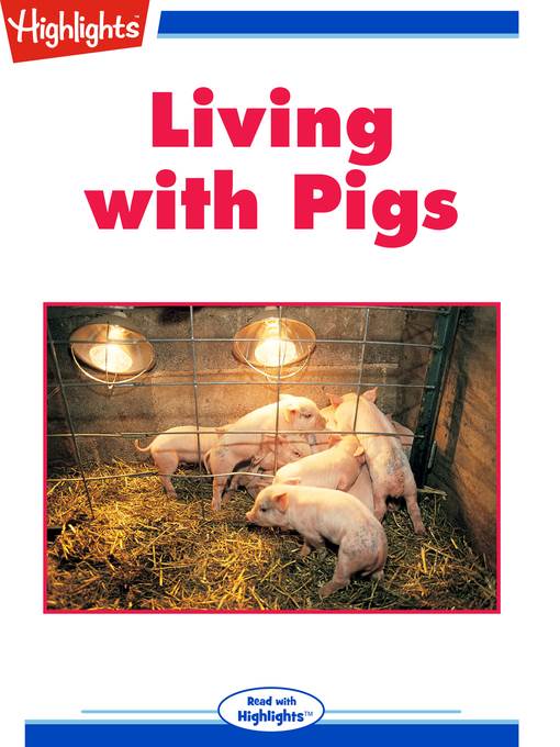 Living with Pigs