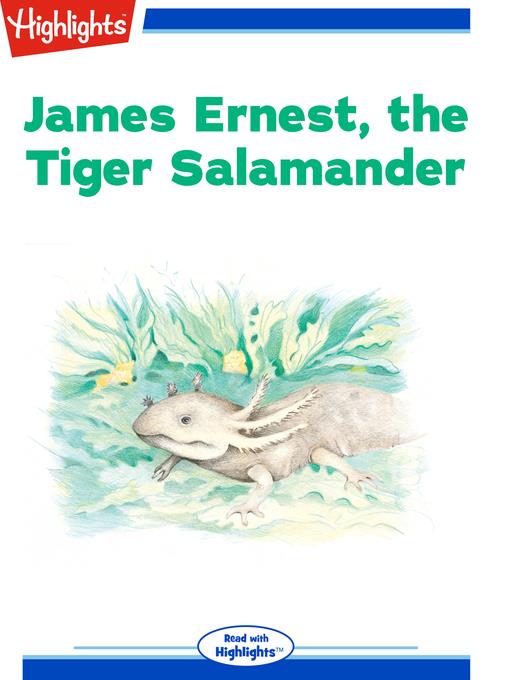 James Ernest the Tiger Salamander