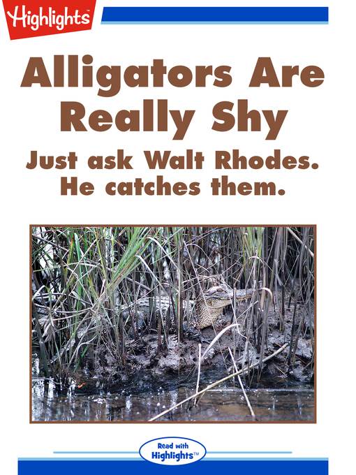 Alligators Are Really Shy