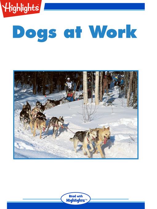 Dogs at Work