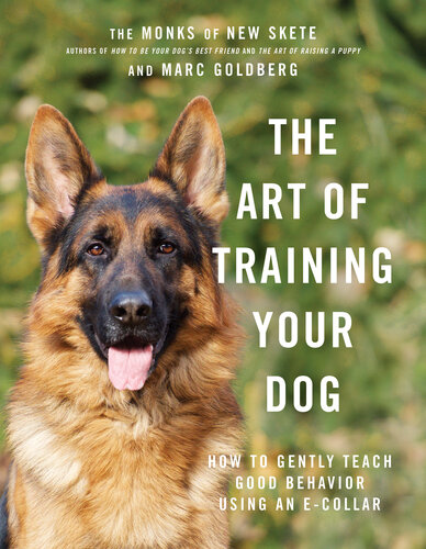 The Art of Training Your Dog