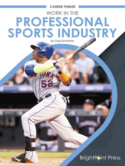 Work in the Professional Sports Industry