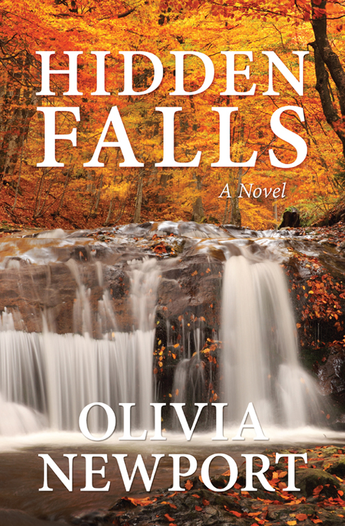 Hidden Falls : a novel