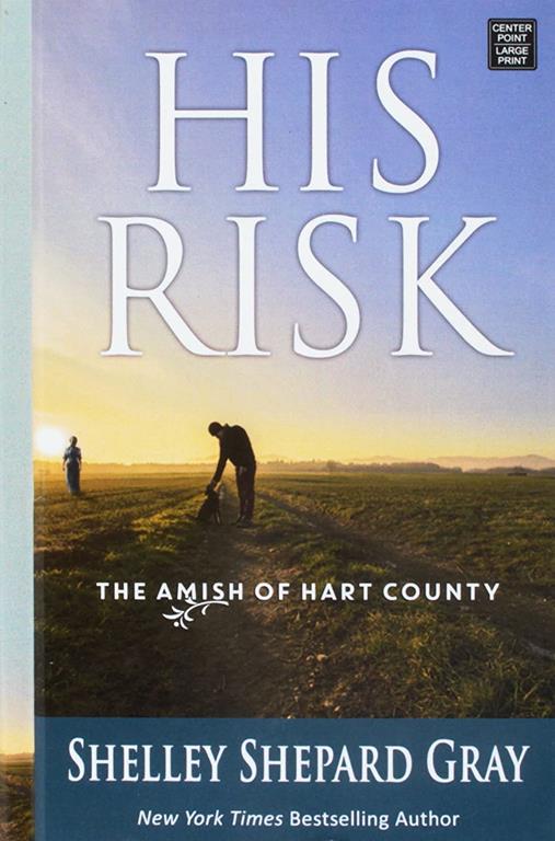 His Risk (Amish of Hart County)