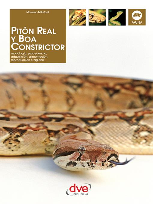 PITÓN REAL Y BOA CONSTRICTOR