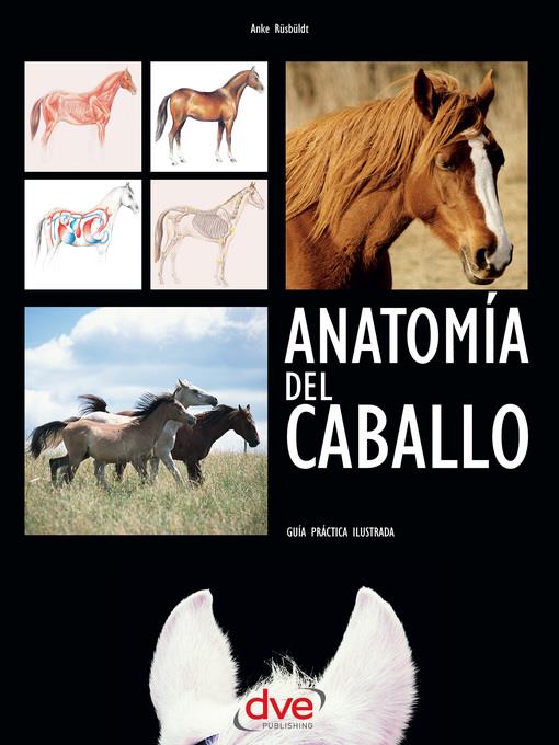 Anatomía del caballo