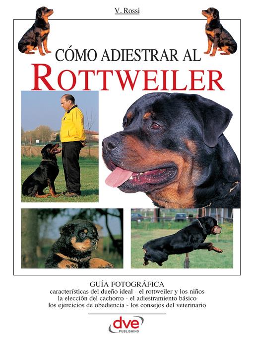 Cómo adiestrar al Rottweiler