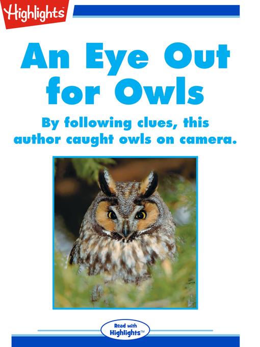 An Eye Out for Owls