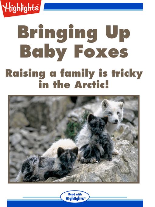 Bringing Up Baby Foxes