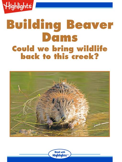 Building Beaver Dams