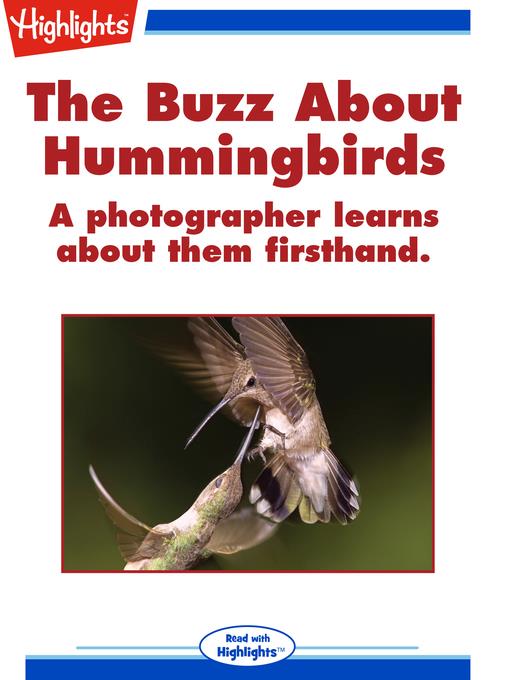 The Buzz About Hummingbirds