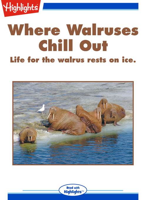 Where Walruses Chill Out