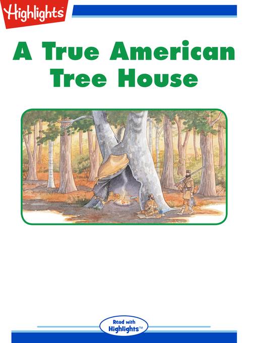 A True American Treehouse