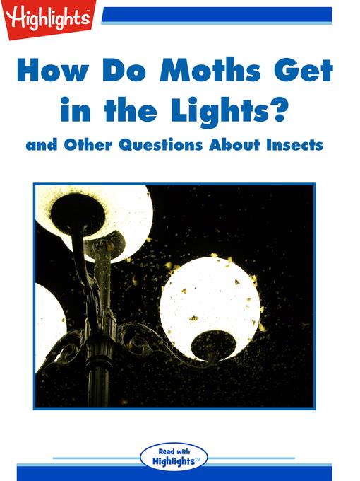 How Do Moths Get in the Lights? and Other Questions About Insects