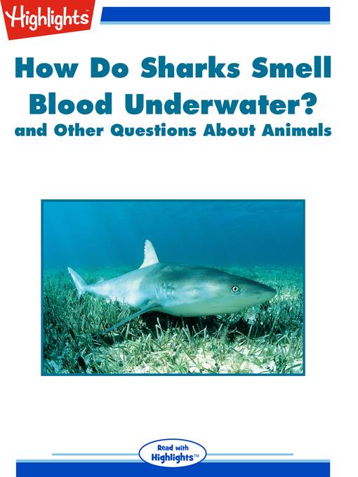 How Do Sharks Smell Blood Underwater? and Other Questions About Animals