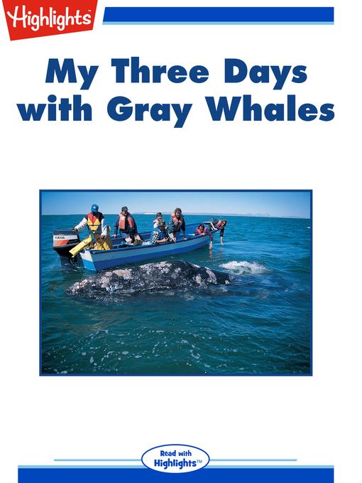 My Three Days with Gray Whales