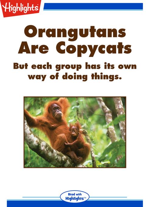 Orangutans Are Copycats