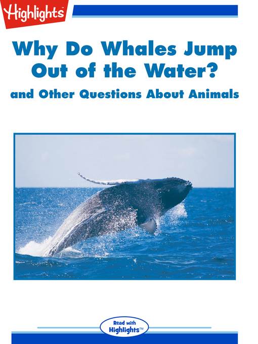 Why Do Whales Jump out of the Water? and Other Questions About Animals