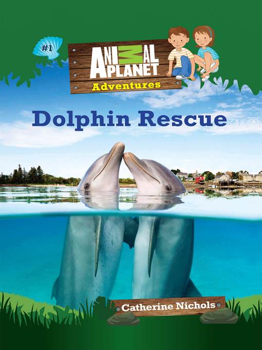 Dolphin Rescue