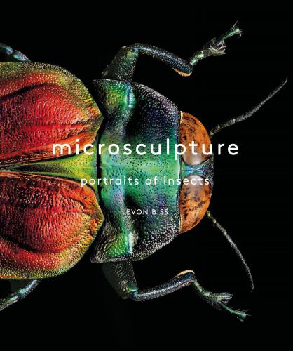Microsculpture