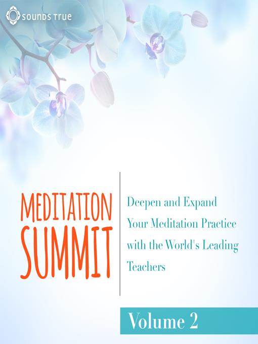 The Meditation Summit