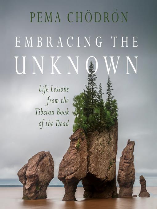 Embracing the Unknown