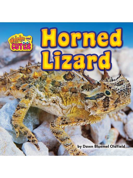 Horned Lizard