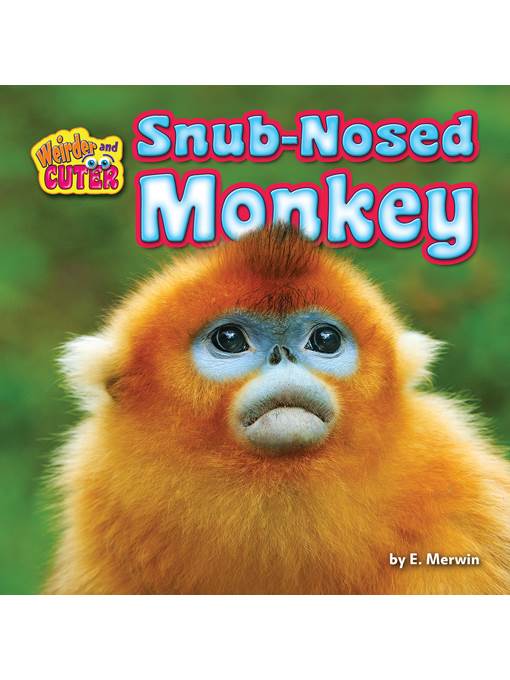 Snub-Nosed Monkey