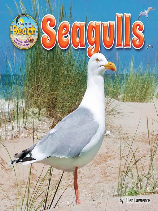 Seagulls