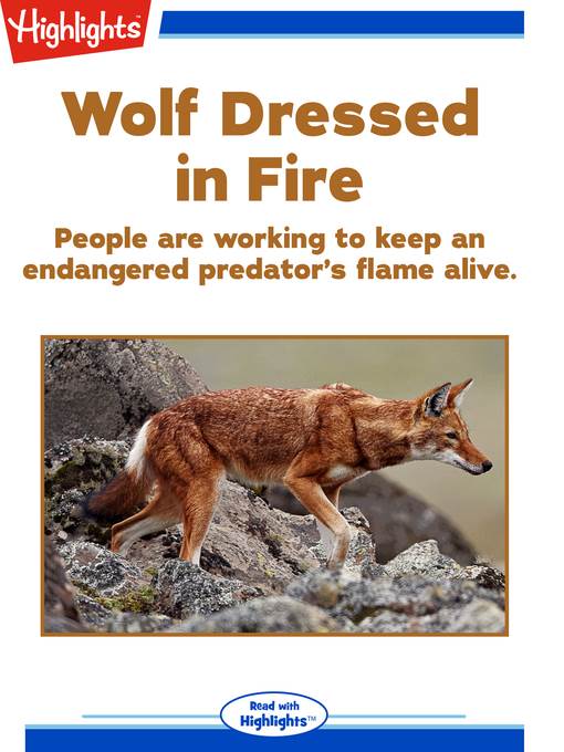 Wolf Dressed in Fire