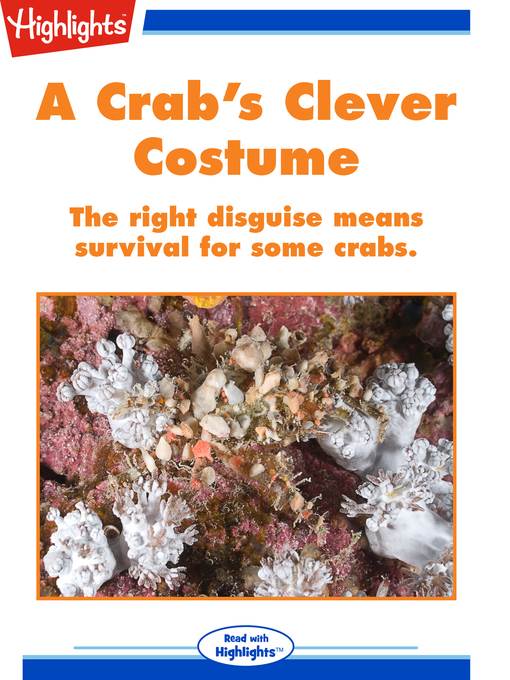 A Crab's Clever Costume