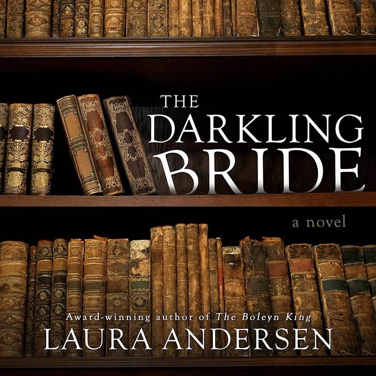 The Darkling Bride: A Novel (Gallagher Family, 1)