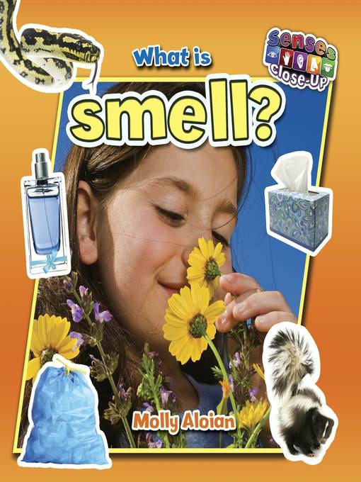 What is smell?