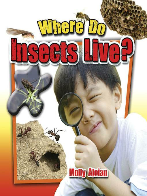 Where do insects live?