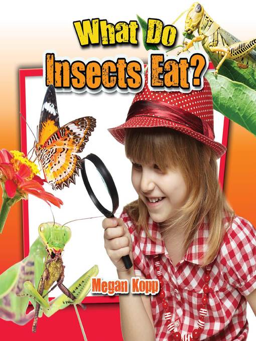 What Do Insects Eat?