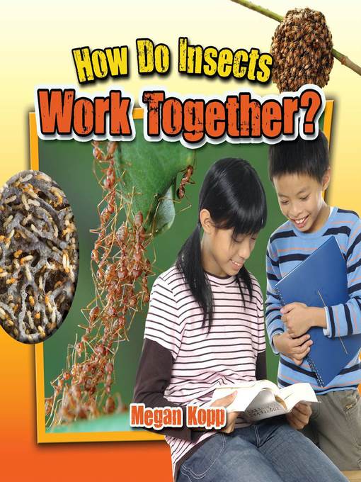 How Do Insects Work Together?