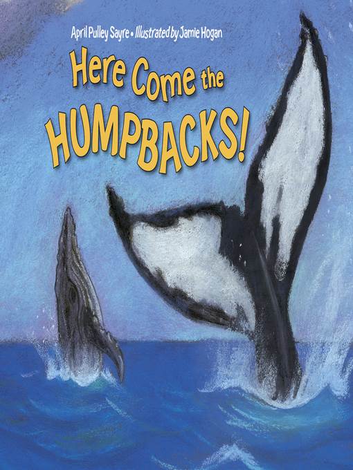 Here Come the Humpbacks!