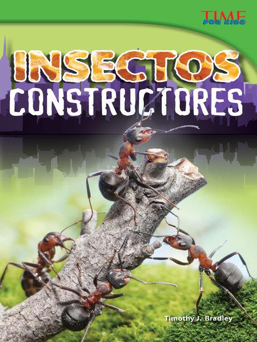 Insectos constructores (Bug Builders)